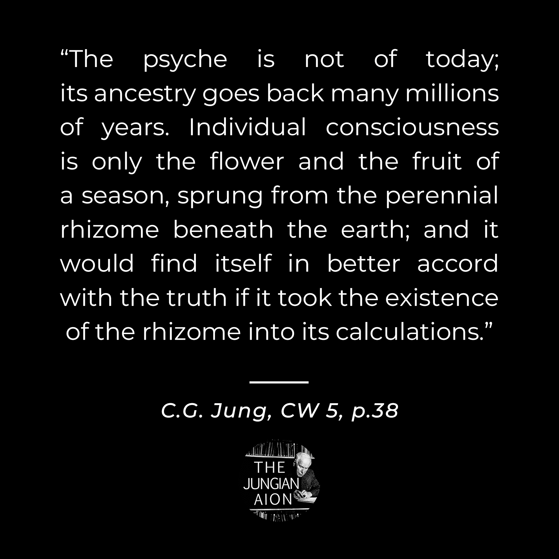 Wildflowers and Underground Roots